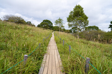 長野県諏訪市の霧ヶ峰を登山している風景
