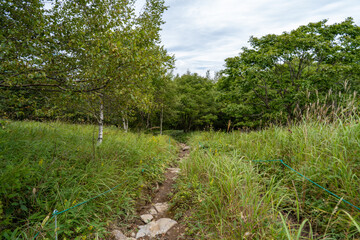 長野県諏訪市の霧ヶ峰を登山している風景