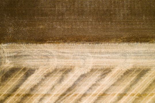 Wheat Field Harvest