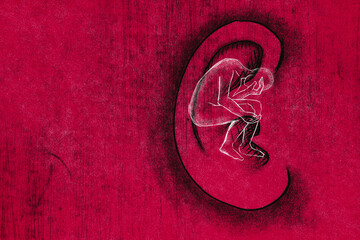 A supportive listening ear