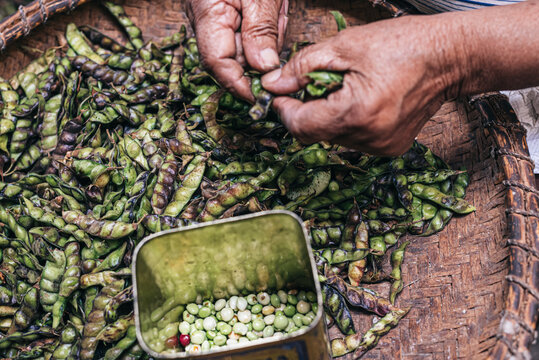 Faceless woman shelling beans while sitting at kitchen table
