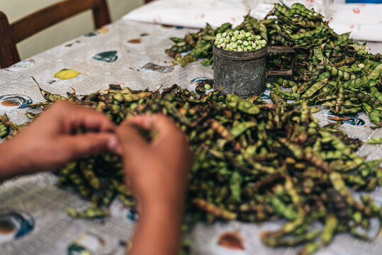 Faceless woman shelling beans while sitting at kitchen table