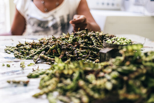Faceless woman shelling beans while sitting at kitchen table