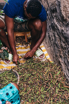 Ethnic modern people shelling beans together