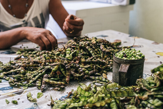 Faceless woman shelling beans while sitting at kitchen table