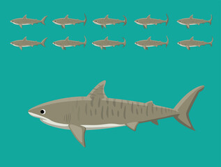 Animal Animation Sequence Tiger Shark Cartoon Vector