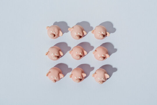 Sweet pigs