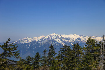 Tateyama Kurobe Alpine Route with beautiful landscape snow mountains., the tourists bus move along the japan alps snow wall with blue sky background. Toyama city, Japan.