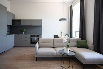 Modern Apartment Living Room