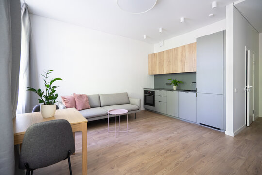 Modern Apartment Living Room With Kitchen