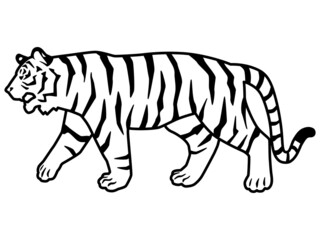 虎のシルエットもしくは線画のイラスト素材　横向き　歩く