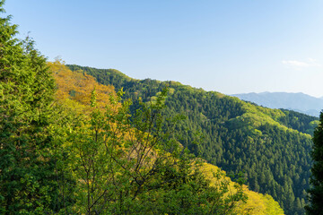 Obraz premium 東京都八王子市の陣馬山で登山をする風景 Scenery of climbing Mount Jinma in Hachioji City, Tokyo.