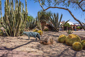 Various Cactus and other plants inhabit the Carefree Desert Gardens in Arizona. Carefree is a suburb of Phoenix.