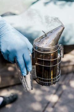 Bee Keeper and Hives
