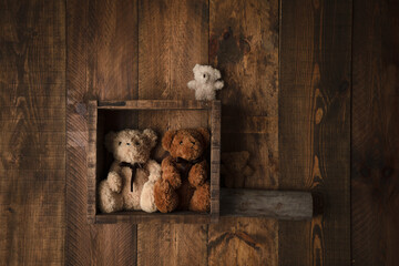 Bear in wooden box