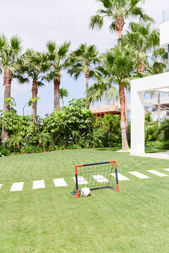Soccer ball and nat sitting in a backyard