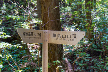 東京都八王子市の陣馬山で登山をする風景 Scenery of climbing Mount Jinma in Hachioji City, Tokyo.