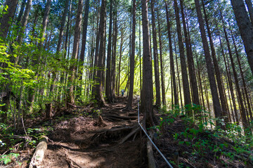 東京都八王子市の陣馬山で登山をする風景 Scenery of climbing Mount Jinma in Hachioji City, Tokyo.