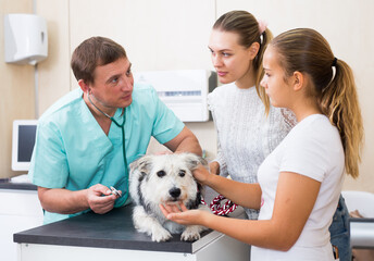 Mom and daughter brought the dog to the vet for an examination. High quality photo
