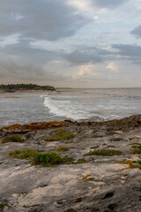 Ocean Waves Along the Beach in Tulum