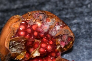 Moldy pomegranate with black background closeup