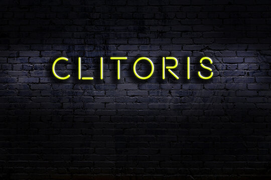 Night view of neon sign on brick wall with inscription clitoris