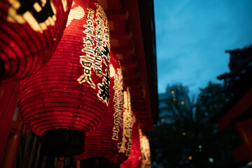 Fototapeta na wymiar Japanese Lanterns At Night