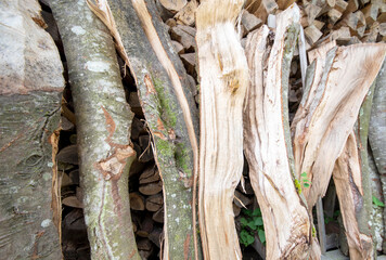 raw wood, stack of wooden planks, cut pine stacked for seasoning