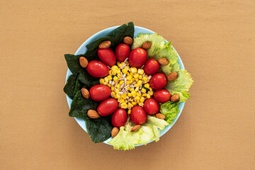 Lettuce and tomato salad in a bowl  upper view