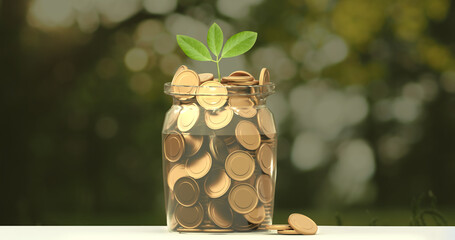 3D illustration of money gold coins in a transparent glass jar with plants growing on it
