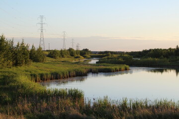 Fototapeta na wymiar Warm Summer On The Lake, Pylypow Wetlands, Edmonton, Alberta