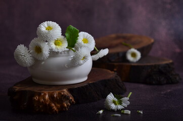 A white pot-bellied mug with a bouquet of daisies stands on a wooden stand.