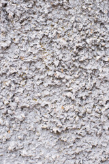 old destroyed cement wall. grunge abstract photo background. beautiful stone texture pattern.

