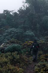 Fototapeta na wymiar wide shot of a young adult hiker walking along a path surrounded by bushes and trees in the rain forest on Cerro Ena in Costa Rica