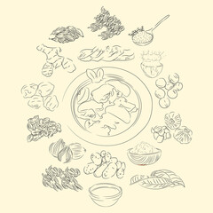 Sie Masak Puteh And Ingredients Illustration Sketch Style, Traditional Food From Aceh, Good to use for restaurant menu. Indonesian cuisine, recipe book, and food element concept.