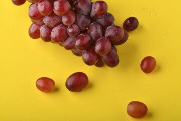 wine grapes.