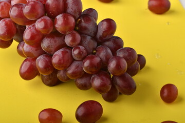 wine grapes.