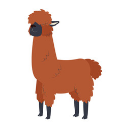 One brown fluffy alpaca stands beautifully. Vector cartoon illustration isolated on a white background for postcards, prints, T-shirts, invitations, to the nursery