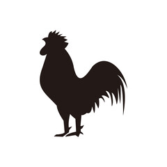 Chicken rooster icon illustration sign