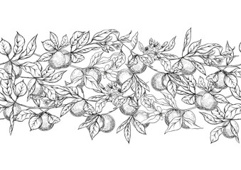 Orange tree branch with fruits, flowers and leaves. Seamless pattern, background. Graphic drawing, engraving style. Vector illustration.