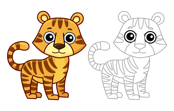 Zoo animal for children coloring book. Funny tiger in a cartoon style. Trace the dots and color the picture