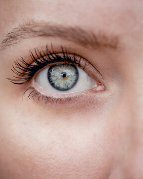 close up of a female eye