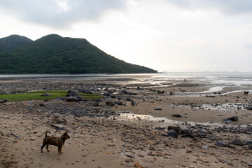 Mud beach at low tide at sunset 
