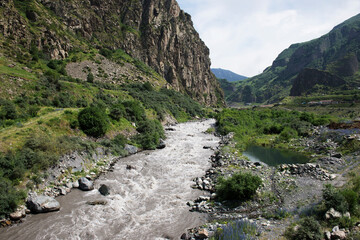 Mountain river flowing through the gorge. Rocks mountain flowers.