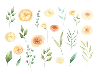 Watercolor boho ochre roses, greenery, floral collection isolated on white background. Perfect for wedding invitations, greeting cards. 