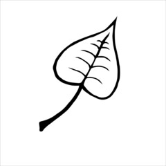 Hand drawn doodle vector icon of a leaf, isolated on white background