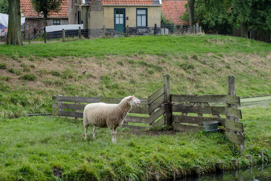 Enkhuizen, Noord-Holland Province, The Netherlands