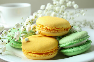 Concept of tasty dessert with delicious macaroons