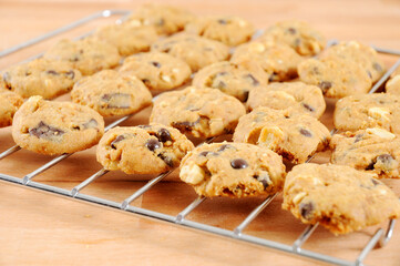Home made Cookies Ready to Eat