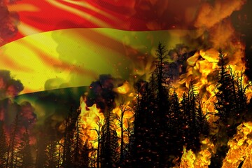 Big forest fire fight concept, natural disaster - flaming fire in the trees on Bolivia flag background - 3D illustration of nature